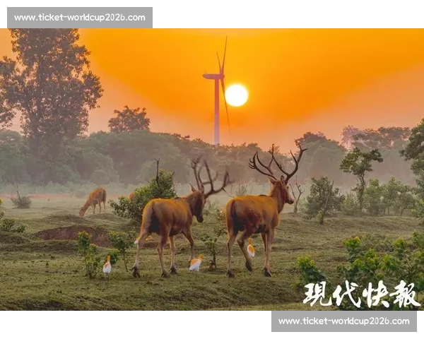 宿迁主场升级首战憾负盐城,新场馆未能阻挡 “鹿王” 客场制胜 宿迁主场升级首战憾负盐城,新场馆未能阻挡 “鹿王” 客场制胜